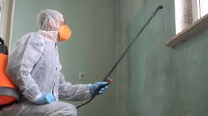 Best Mold Remediation for Healthcare Facilities  in Warrenton, MO